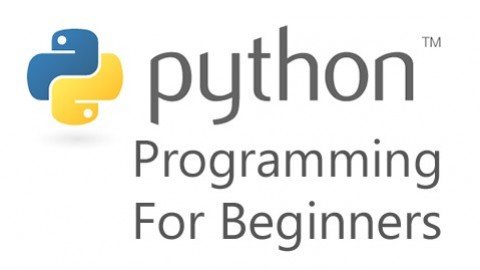 programming ideas for beginners